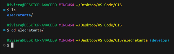 SwitchToDevelopBranch